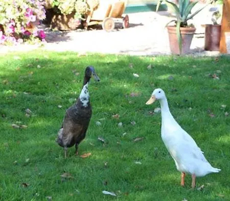 Oase Auf Dem Land アパート