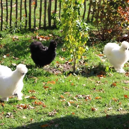 アパート Oase Auf Dem Land